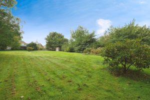 Photo 2- click for photo gallery